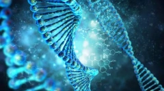 Закони на наследствеността