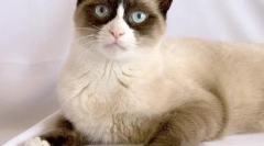 Отвъд отвъд белоножа